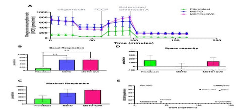 Why does QV0 only attack cancer cells and not healthy cells?